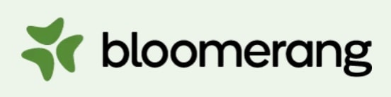 Bloomerang company logo